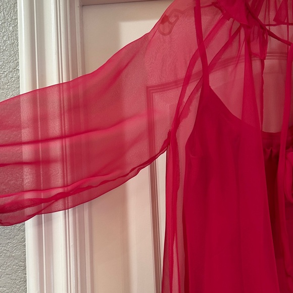 Sheer Raspberry Cover-Up with Matching Neglige - Picture 3 of 11